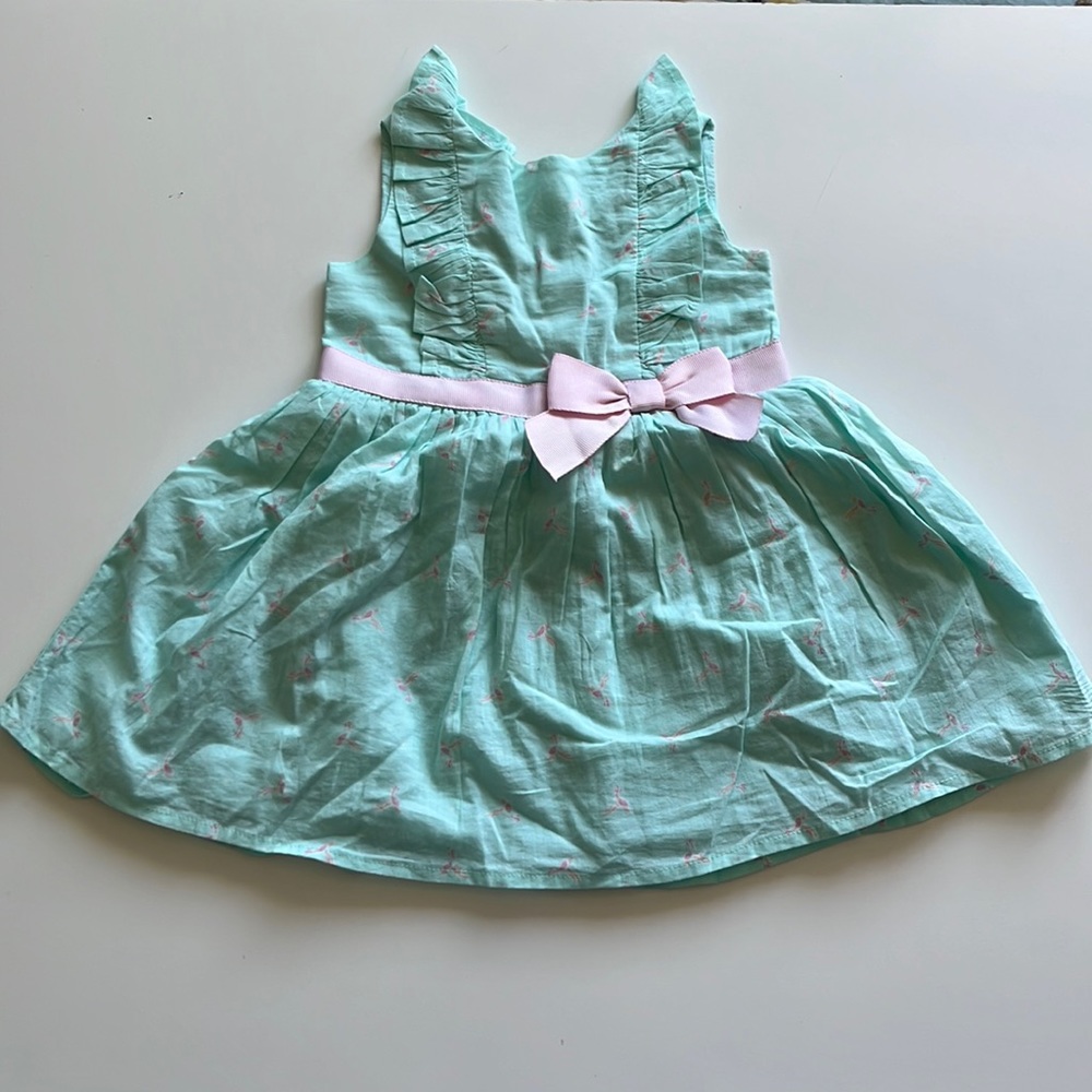 Hummingbird Print Green and Pink 12M Dress